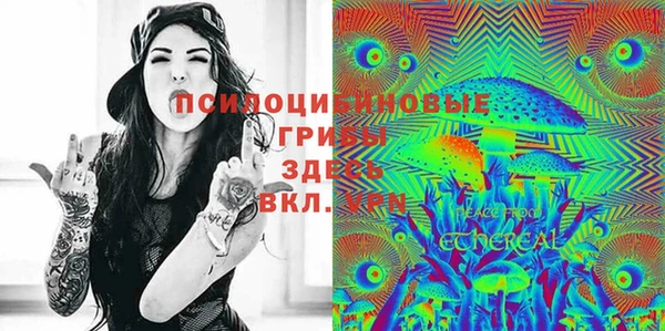 гашик Вязники