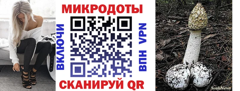 MEGA как зайти  наркотики  Нестеровская  Галлюциногенные грибы MAGIC MUSHROOMS 